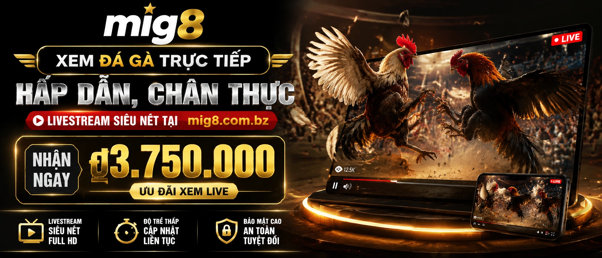 Khu vực danh mục Đá Gà trên mig8